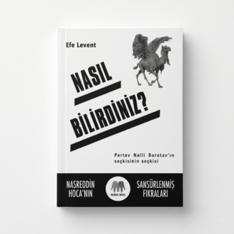 Nasıl Bilirdiniz?, Efe Levent (ofset edisyon)
