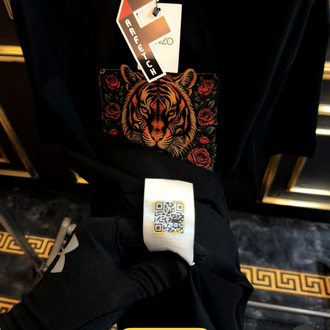 KNZ GOLD FUSION