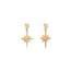 The Heart of the Polar Star Earring / Kutup Yıldızı'nın Kalbi Küpe