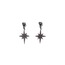 The Heart of the Polar Star Earring / Kutup Yıldızı'nın Kalbi Küpe