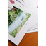FUJI Art Print - Medium