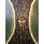 Tree Spirit
