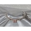 Glisten Choker