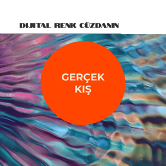 Gerçek Kış - Dijital Renk Cüzdanı