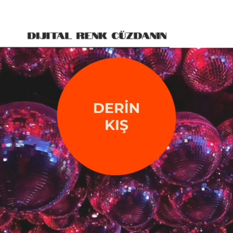 Derin Kış - Dijital Renk Cüzdanı