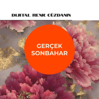 Gerçek Sonbahar - Dijital Renk Cüzdanı