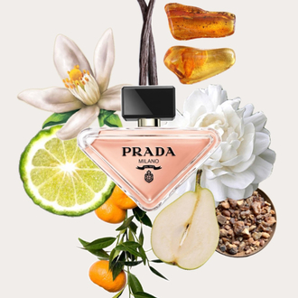 Prada Paradox