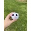 Beyaz hamster