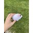Beyaz hamster