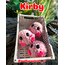 Kirby - bir adet