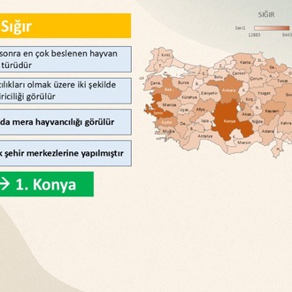 2026 KPSS-AGS COĞRAFYA NOTLARI + SORU BANKASI 