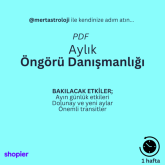 Aylık Öngörü Danışmanlığı (PDF)