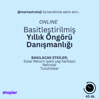 Basitleştirilmiş Yıllık Öngörü Danışmanlığı (Online)