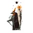 New-Mooners