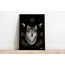 50x70 Kayı Boyu - Kurt Poster 
