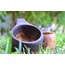 Kuksa (Kök Ceviz)