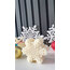 SOYA WAX KAR TANESİ