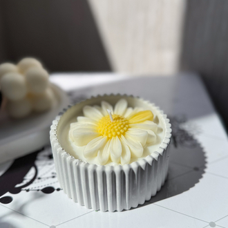 Taştozu papatyalı soya mumu