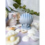 Dekoratif İstiridye mum