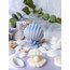 Dekoratif İstiridye mum