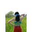 Güneş Işığı Crop Top 