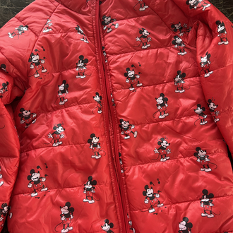 Mickey Mouse Mont