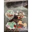 Mickey Mouse Sticker Seti
