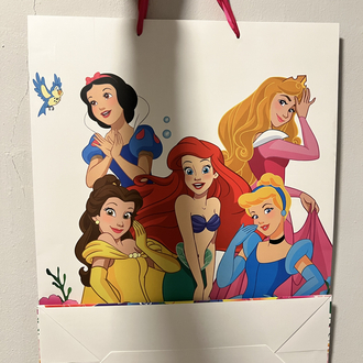 Disney Prensesler Hediye Poşeti
