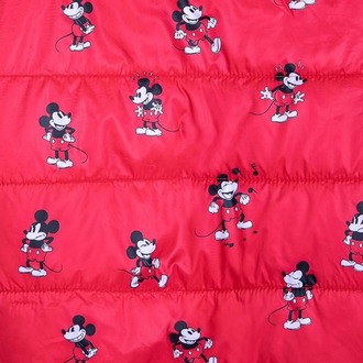 Mickey Mouse Mont