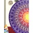 Go Big: Sole (40 cm)