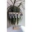 Lacivert kadran silver çelik unisex saat 