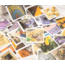 Kırmızı Temalı 30 Yaprak Sticker Albümü