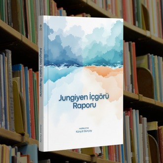 Jungiyen İçgörü Analizi