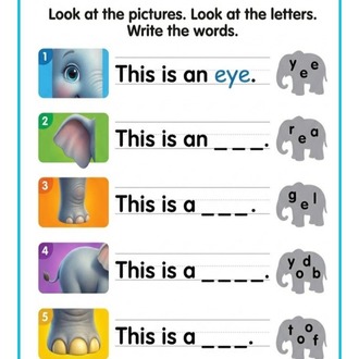 English Activity Lab - 100 SAYFA PDF ÇALIŞMA KAĞIDI