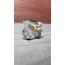 1/18 2JZ GTE Motor X-5 Green