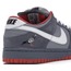 Nike SB Dunk Low Staple NYC "Pigeon"