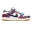 Parra Abstract Art x Nike SB Dunk Low Pro