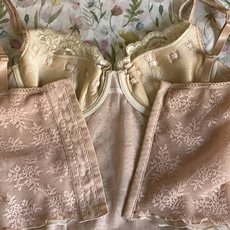 Vintage Rampage Lace Soft Pink Bustier