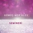 GÜMÜŞ MOR ALEV SEMİNERİ (videolu eğitim)