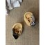 2’li Knight Earcuff