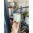 Mint Striped Bardak