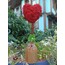 MOSS&LOVE