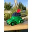 GREEN CAR MOSS