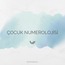 Çocuğunuzun Numerolojisi