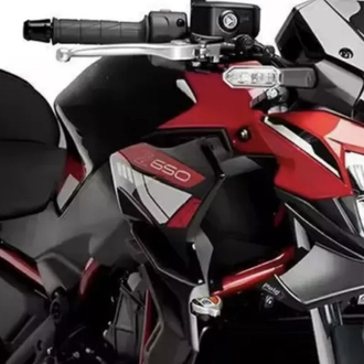 Kawasaki Z650 Karbon Winglet 