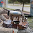 SC PROJECT EGZOZ ( TİTANYUM )