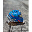 SHOEİ X14