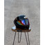 SHOEİ X14