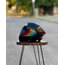 SHOEİ X14