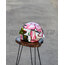 AGV PİSTA GP RR